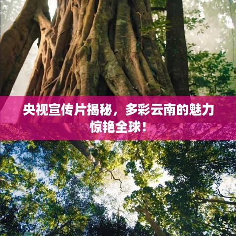 2025年5月10日