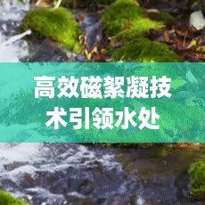 2025年5月13日 第4页