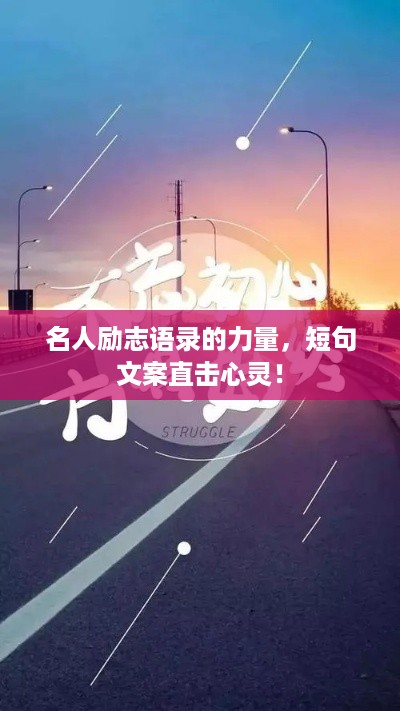 2025年5月17日 第5页