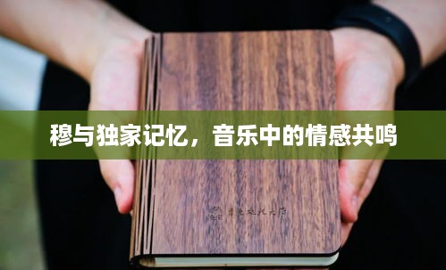2025年5月20日