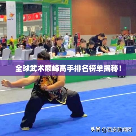 全球武术巅峰高手排名榜单揭秘！