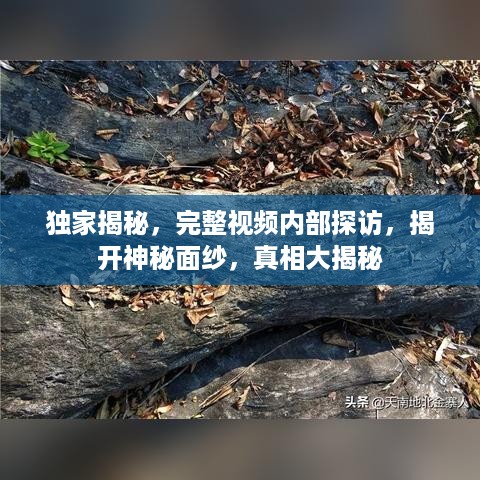 鸟飞兔走 第2页