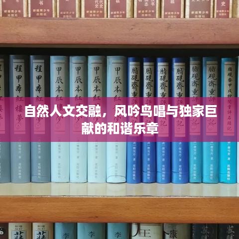 堂堂正正 第2页